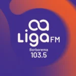 RÁDIO LIGA FM BORBOREMA 103.5